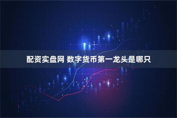配资实盘网 数字货币第一龙头是哪只