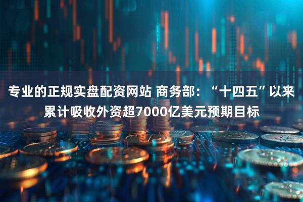 专业的正规实盘配资网站 商务部：“十四五”以来累计吸收外资超7000亿美元预期目标