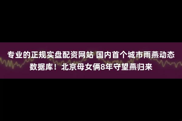 专业的正规实盘配资网站 国内首个城市雨燕动态数据库！北京母女俩8年守望燕归来