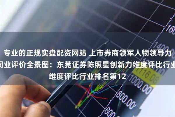 专业的正规实盘配资网站 上市券商领军人物领导力TOP榜丨同业评价全景图：东莞证券陈照星创新力维度评比行业排名第12